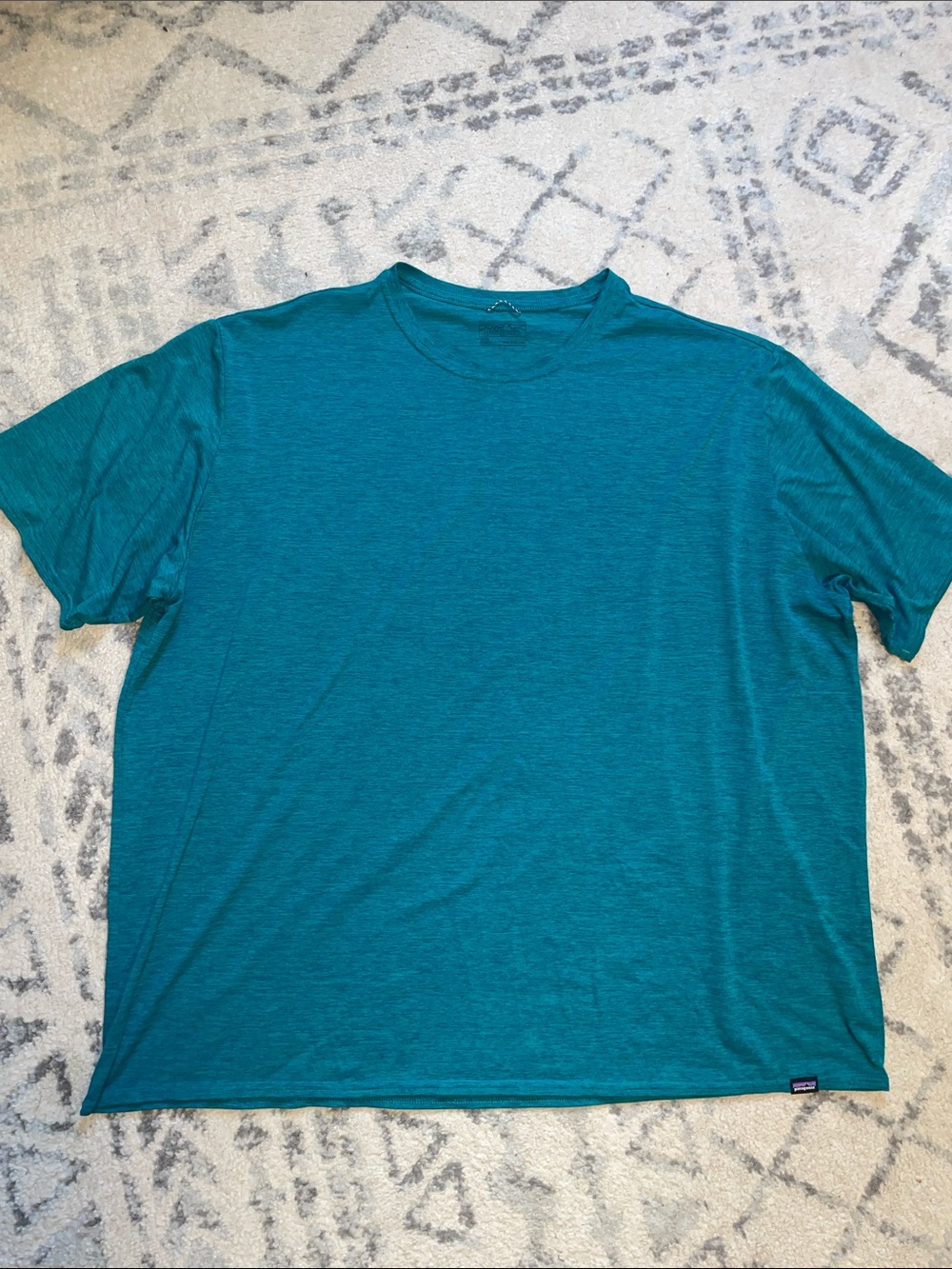 Men’s Patagonia Dryfit T Shirt